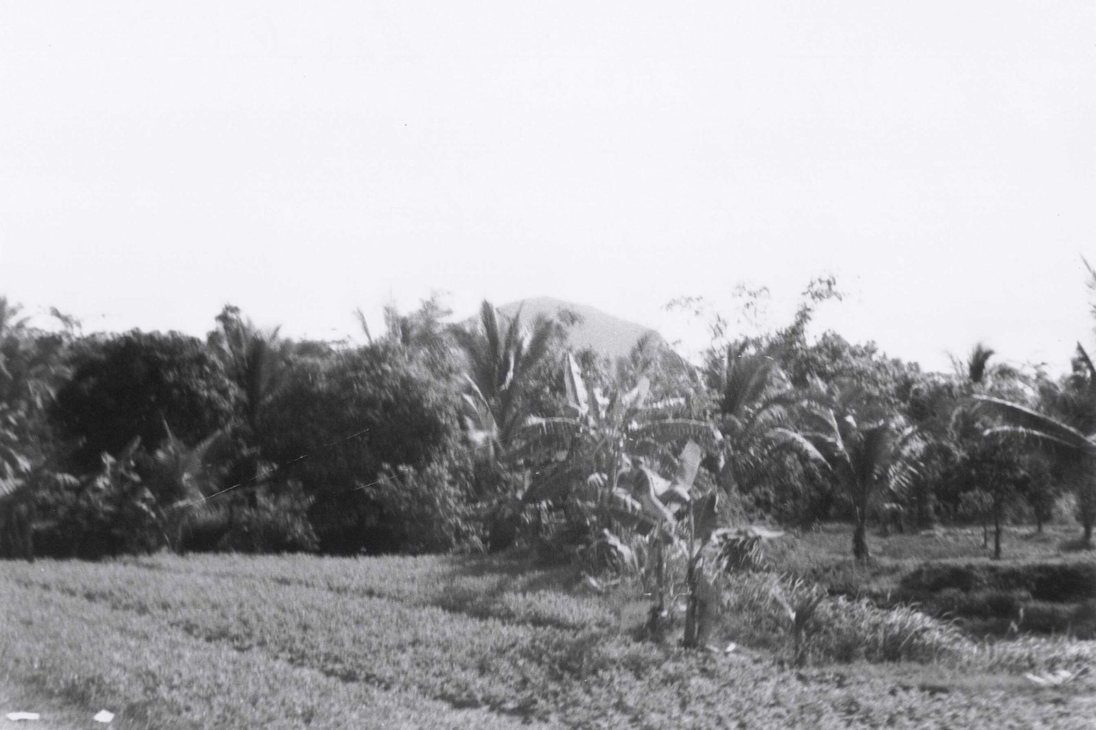 228th Photo Gallery — 1967–1968 photo 98