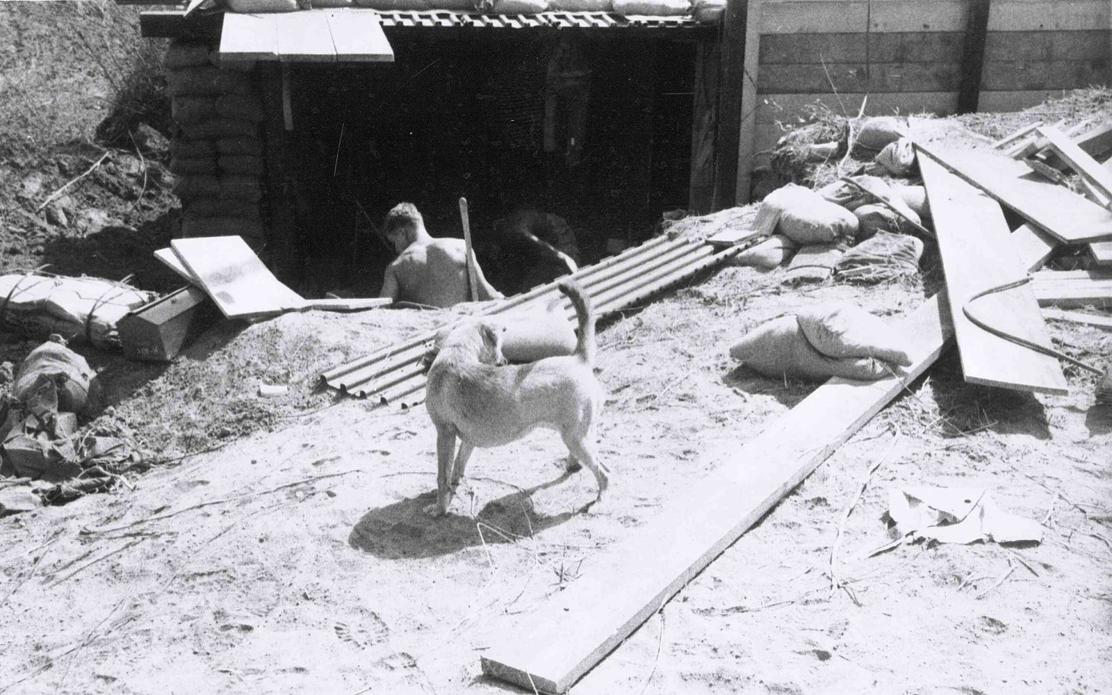 228th Photo Gallery — 1967–1968 photo 119