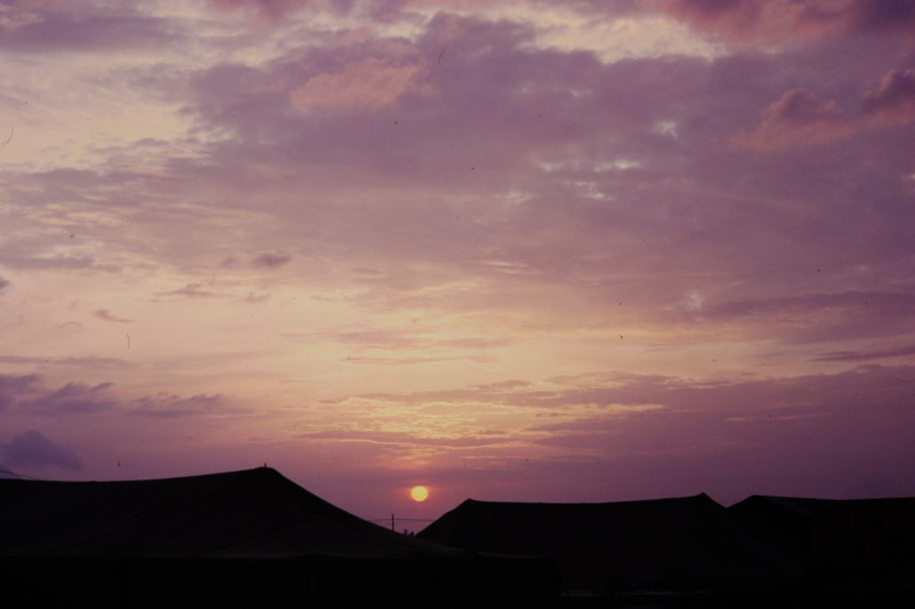 80678317-SLD-005-0029