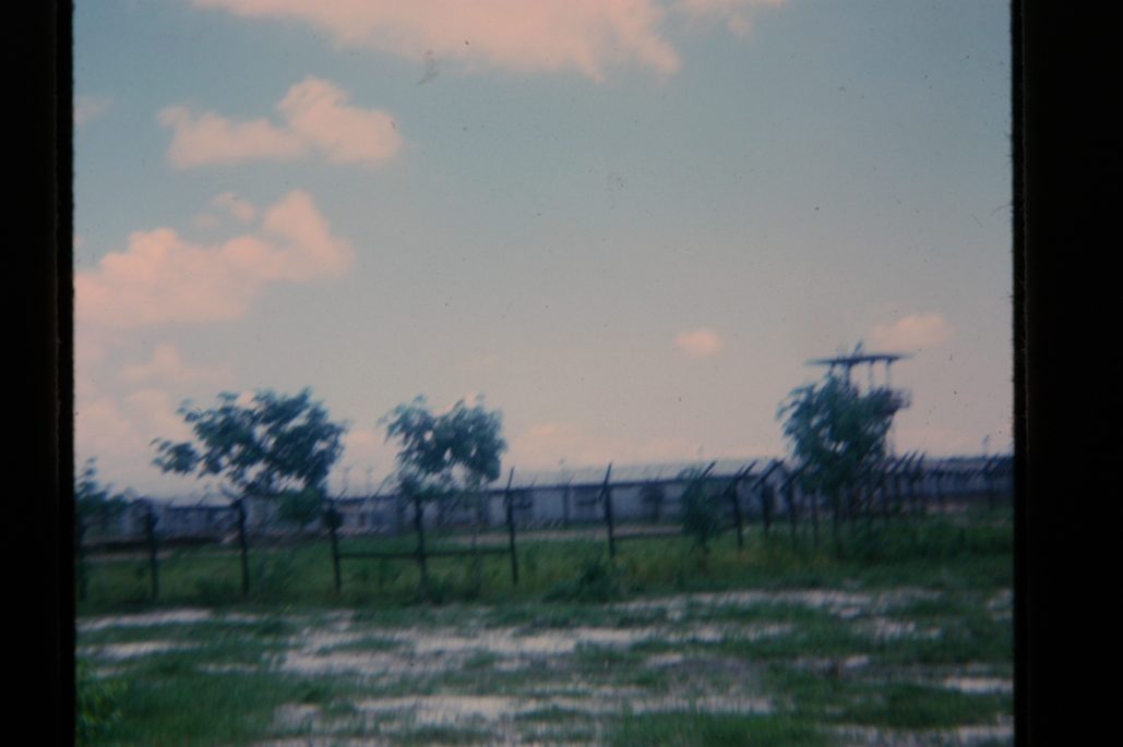 80678317-SLD-005-0087