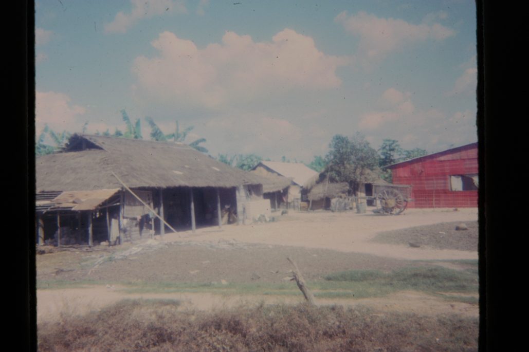 80678317-SLD-005-0100
