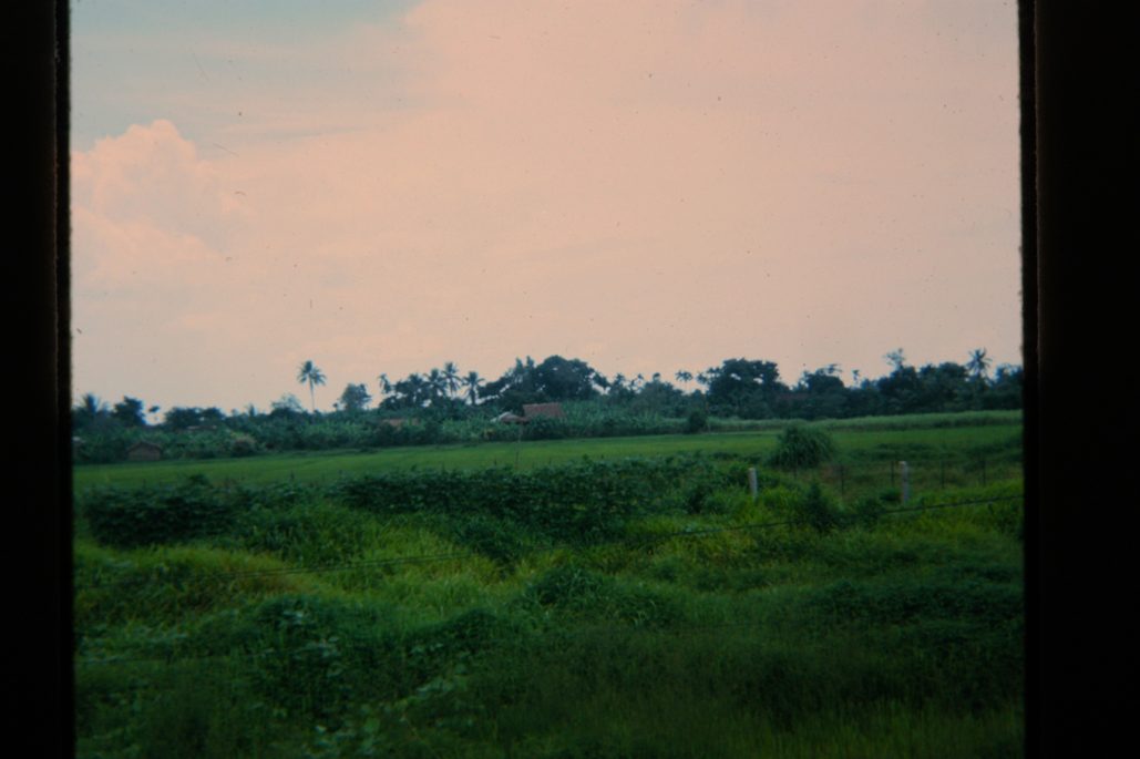 80678317-SLD-005-0167