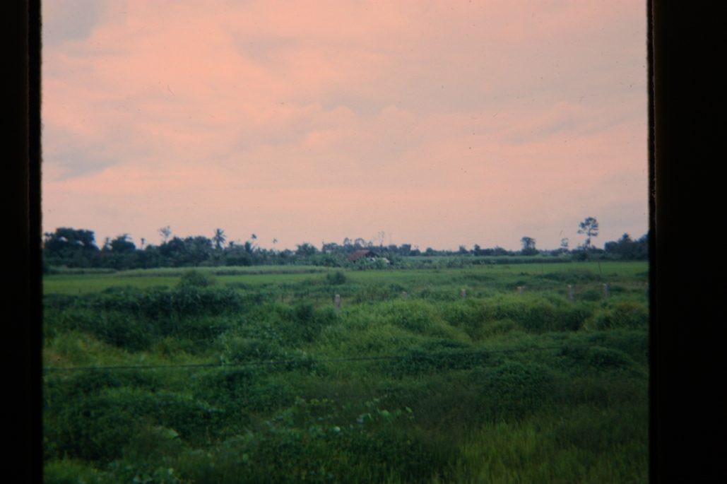 80678317-SLD-005-0169