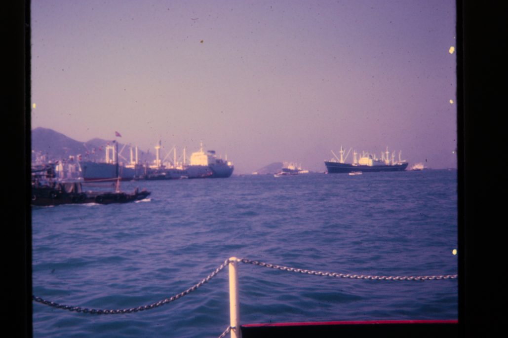 80678317-SLD-005-0199