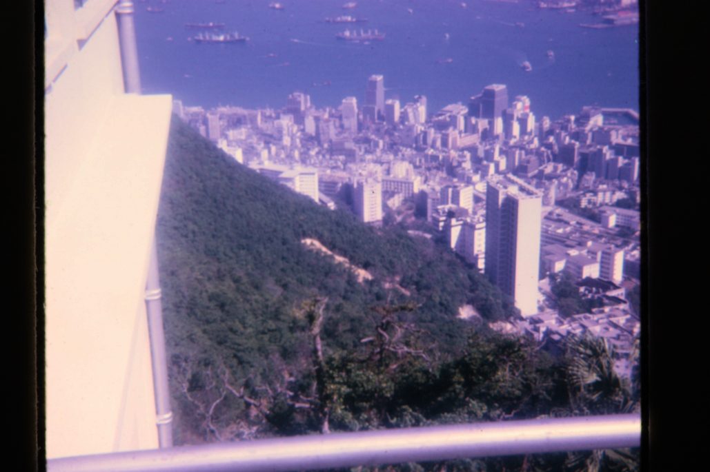 80678317-SLD-005-0202