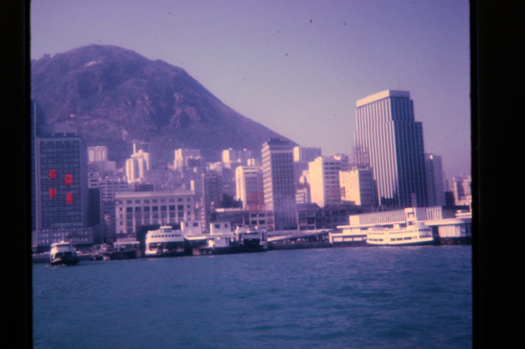 80678317-SLD-005-0203