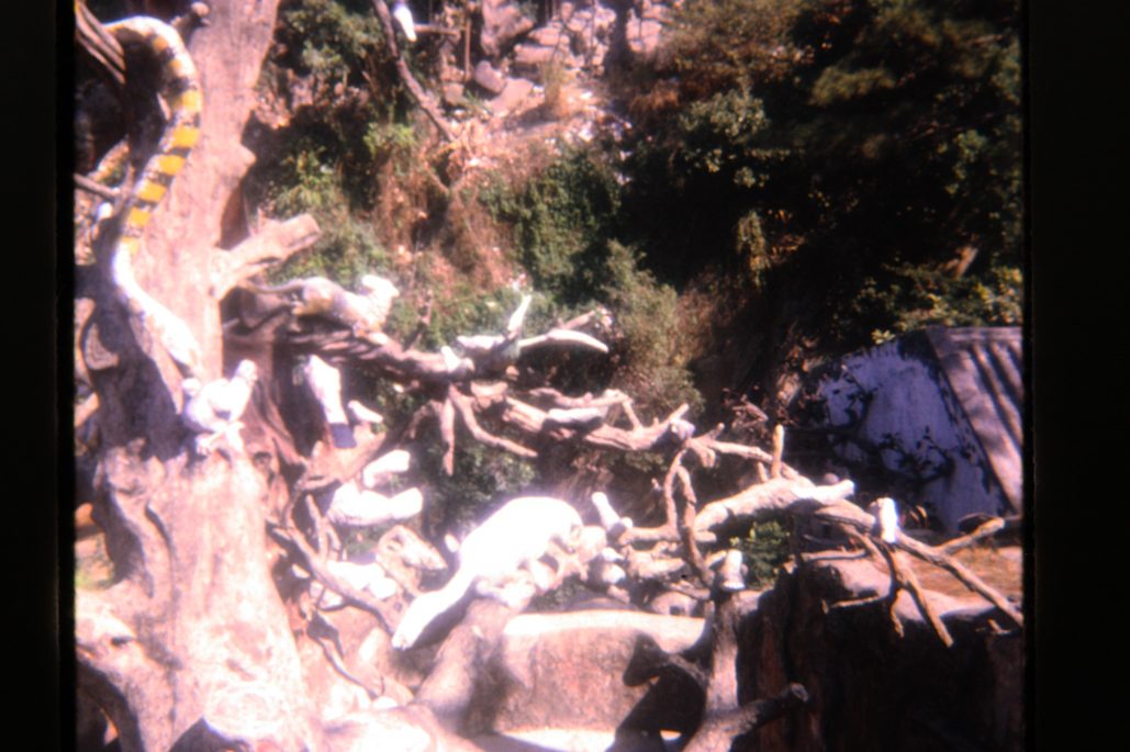 80678317-SLD-005-0206