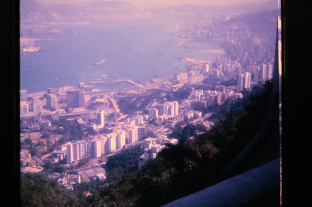 80678317-SLD-005-0208