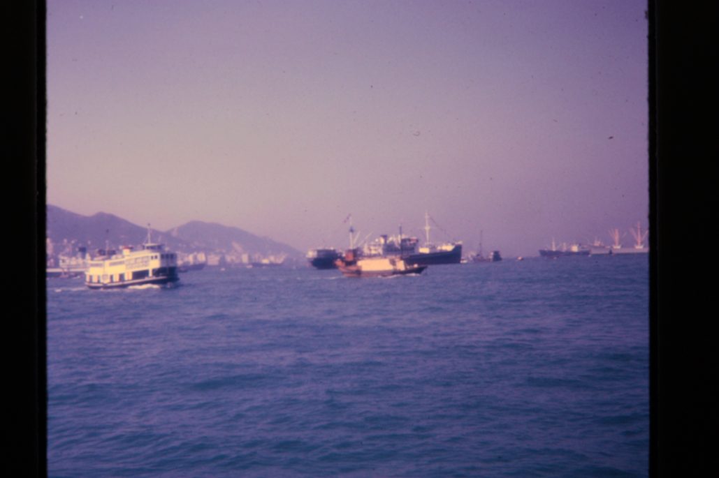 80678317-SLD-005-0209