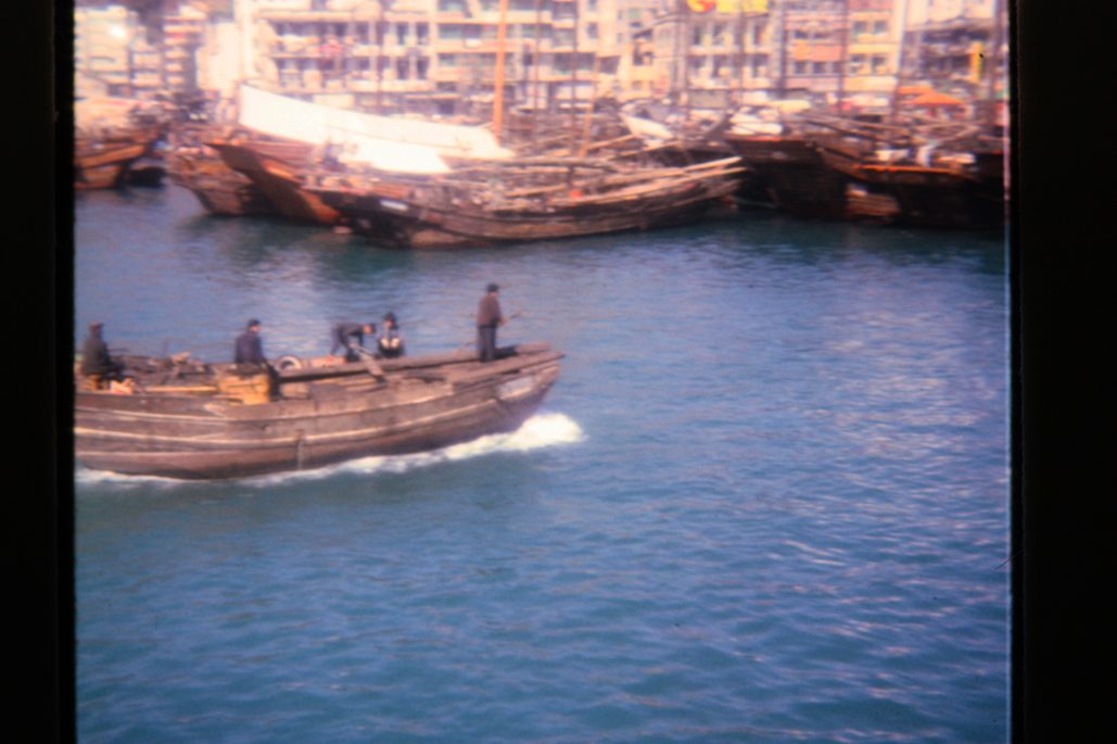 80678317-SLD-005-0217