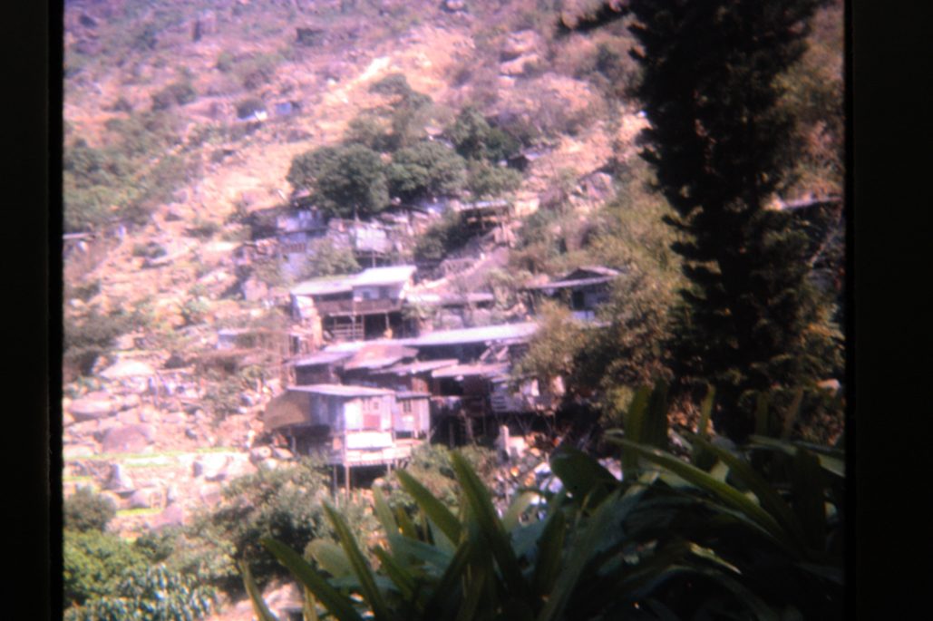 80678317-SLD-005-0219