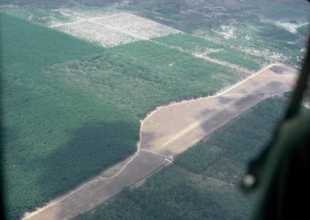CF10 (640x453)