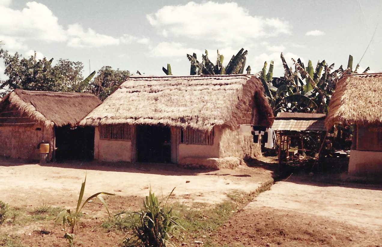 Cao Xa