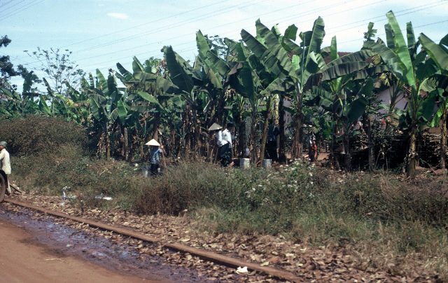 Convoy - Long Binh to Xuan Loc - abt Oct 1966 - 22 (640x404)
