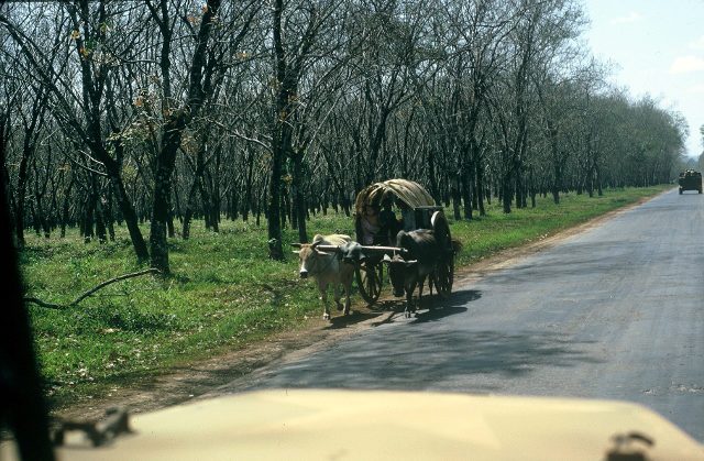Convoy - Long Binh to Xuan Loc - abt Oct 1966 - 29 (640x419)