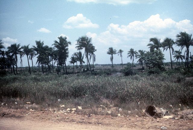 Long Binh to Saigon highway - roadside view (640x432)