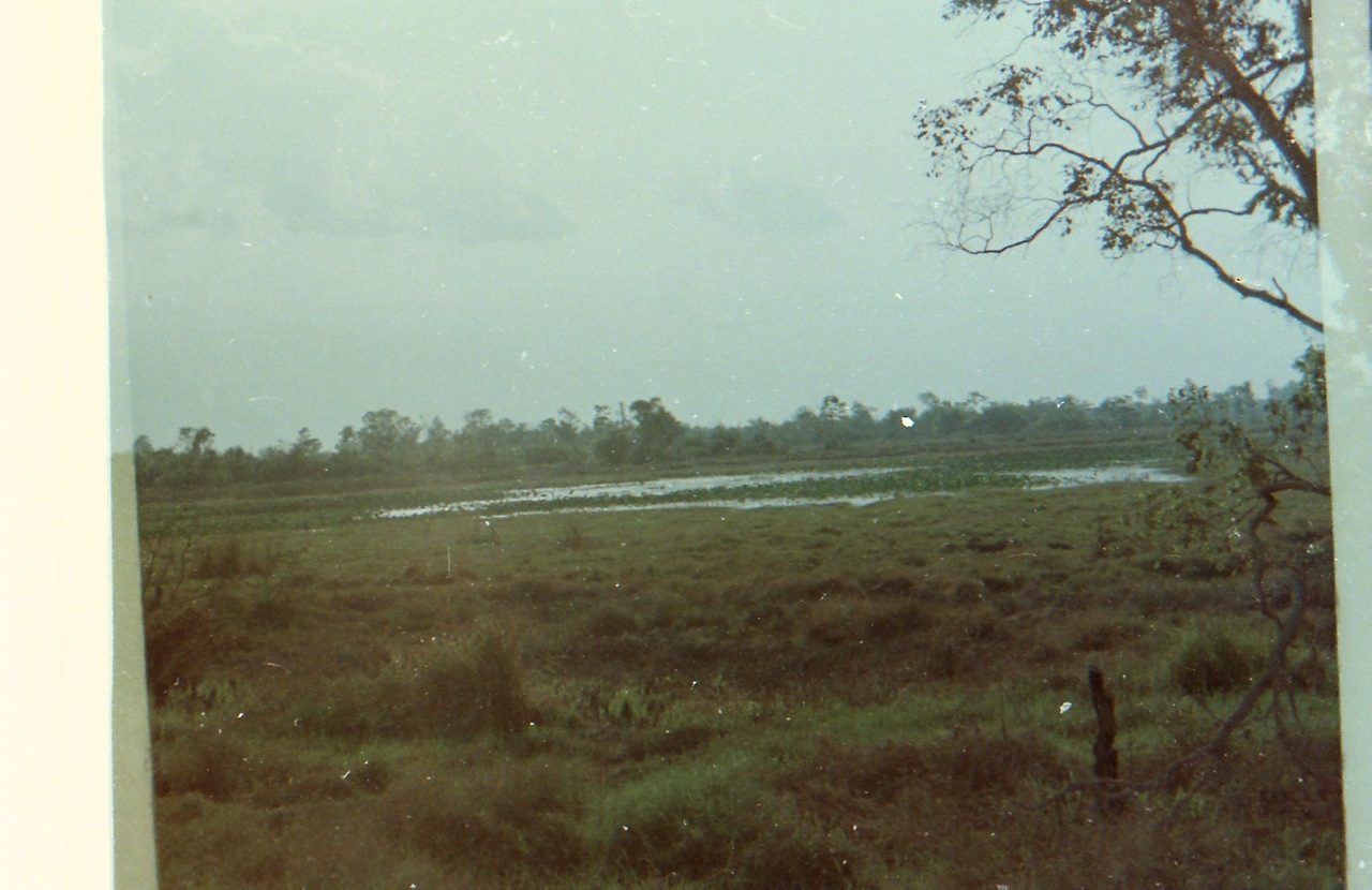 Nam 035