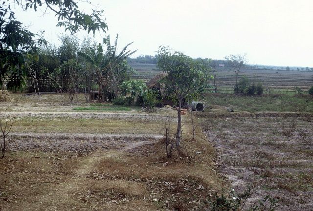 On road to Tay Ninh - more - 1967rice paddies - 1966 (640x432)