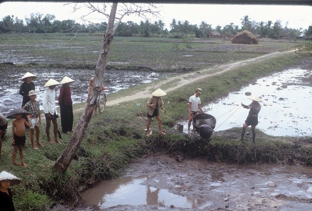 On road to Tay Ninh - workers in rice paddy -1967 (640x432)
